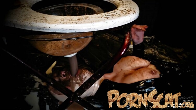 Extreme shit and puke swallowing toilet slave with SlutOrgasma [FullHD / 2022]