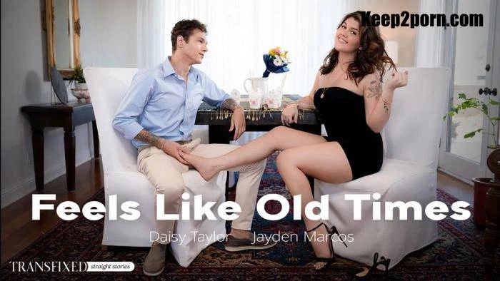 Jayden Marcos, Daisy Taylor Feels Like Old Times [FullHD] (2023)