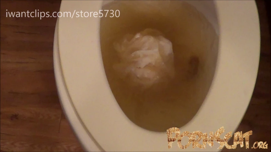 Ashley Dobbs Damn I Clogged The Toilet Keepingitfunky [FullHD / 2025]